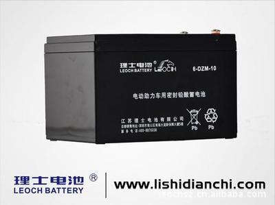 電瓶廠家_電瓶廠家供貨商_供應(yīng)廣州電dongche電瓶廠家_電瓶廠家價格_理士國際技術(shù)
